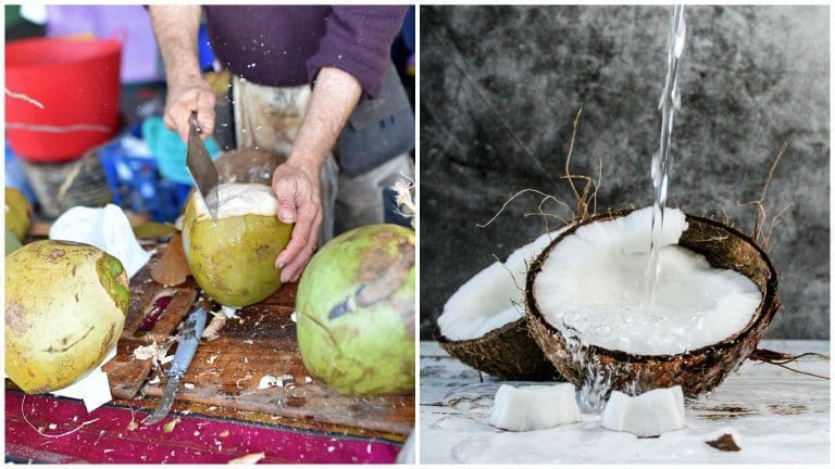 Why BJ is Good for You in This Hot Weather