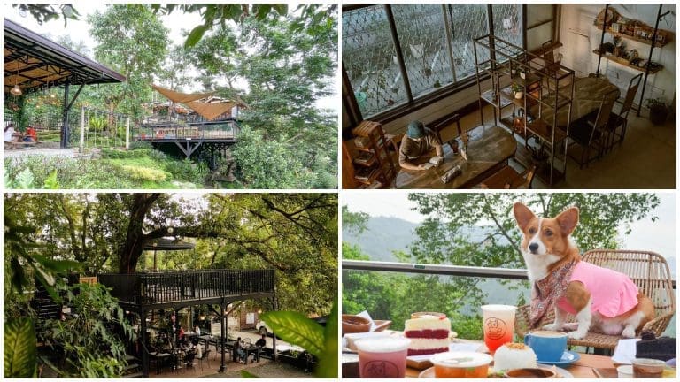 Bring your fur babies to these 5 pet-friendly restaurants in Cebu City