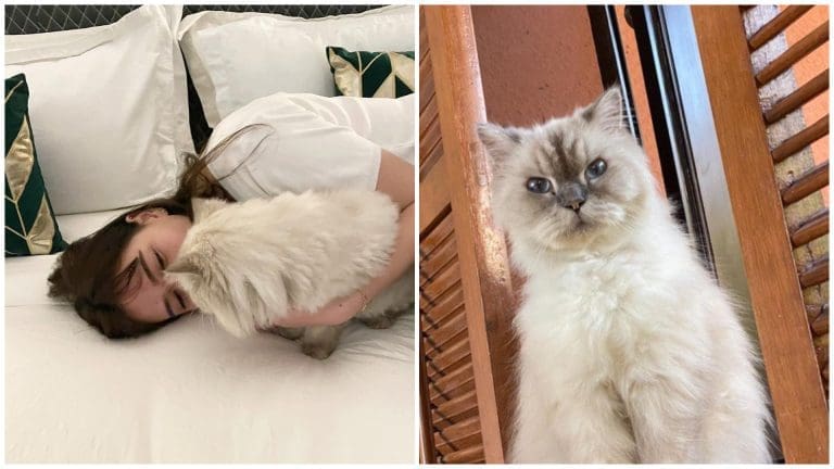 Bela Padilla mourns the loss of beloved 14-year-old pet cat