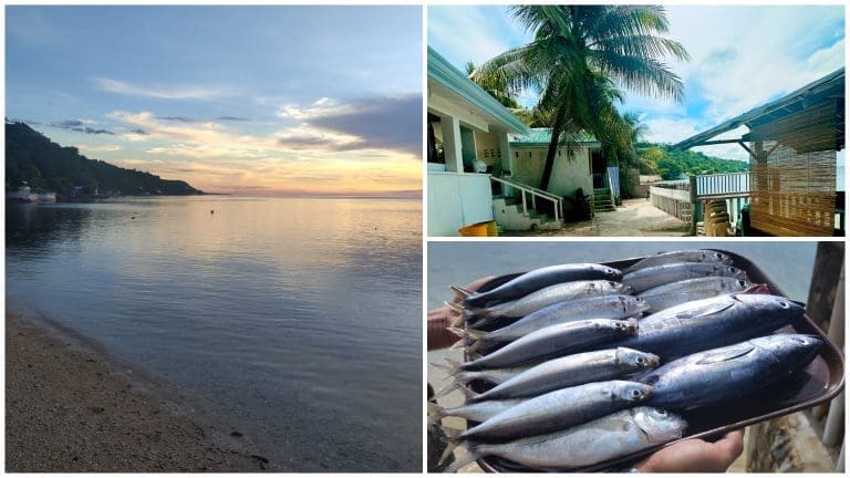 Escape to Mālie Bay Boljoon Cebu: A Private Resort with Stunning Sea Views