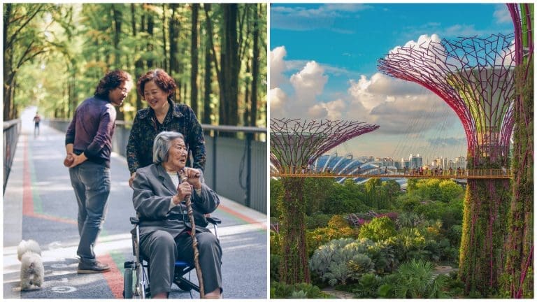 Singapore: 50 Vacancies for Domestic Helper Positions