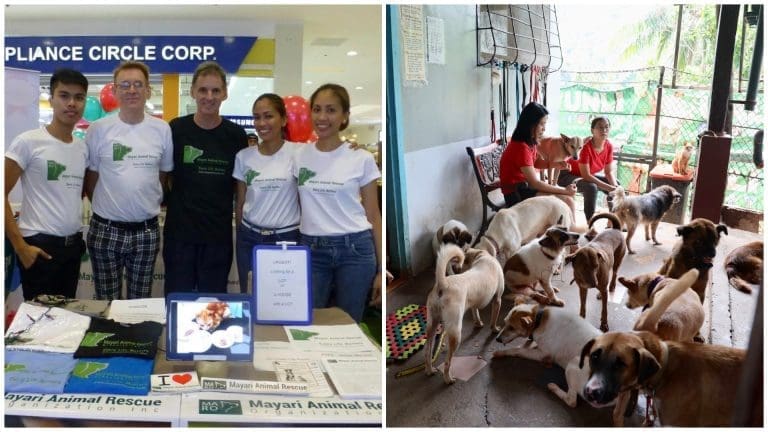 The Sugboanon: This Animal Shelter Shines Hope to Neglected Animals in Cebu
