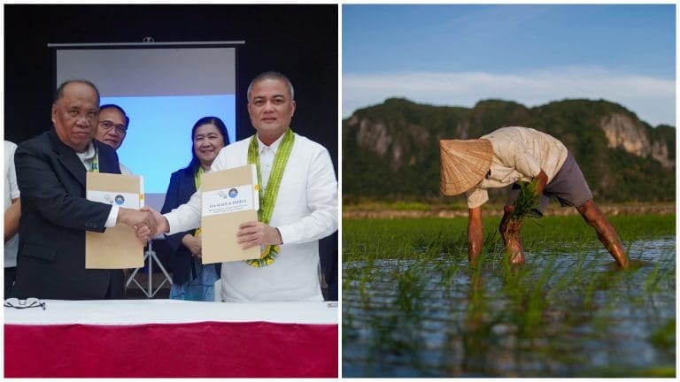 PhilSA and BAFE Harness Satellite Technology for Growth: Revolutionizing Agriculture