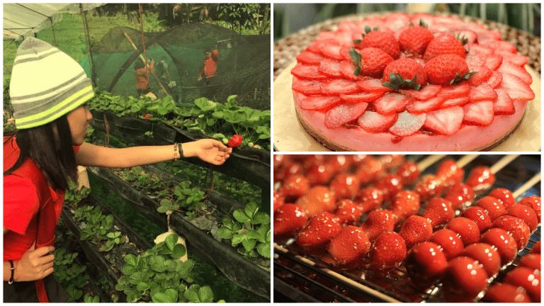 Nat’l Strawberry Month: Strawberry Delicacies in the Queen City of the South!