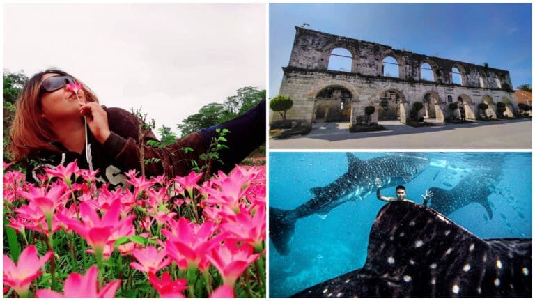 2025 Vacation Guide to the Must-Visit Destinations in Oslob