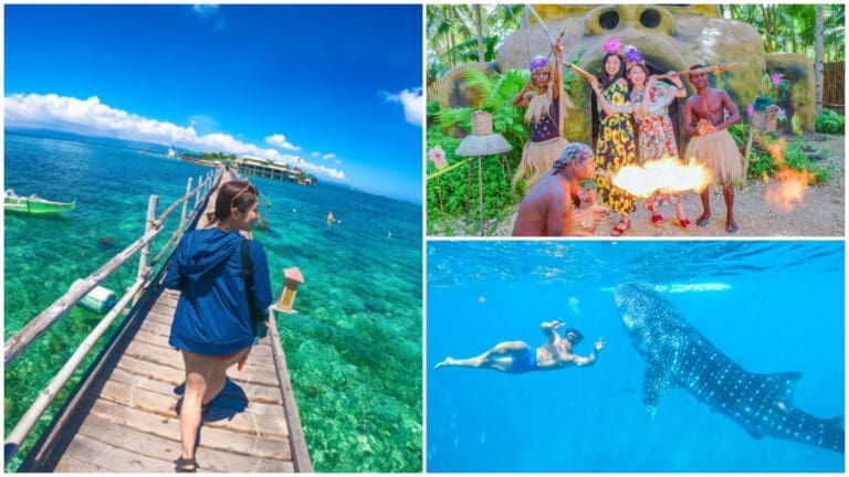 How CSP Travel and Tours is Strengthening Cebu and Bohol’s Connection to Japanese Travelers