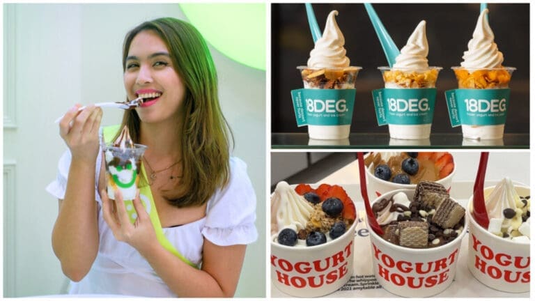 Taste and Savor The Delicious Frozen Yogurt From These Popular Yogurt Hubs